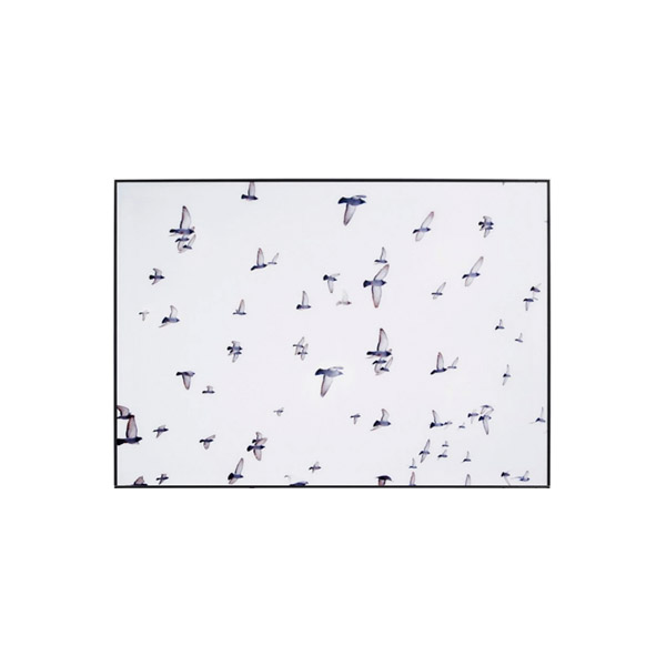 [Birds] arte en vidrio Birds A50xL70cm.