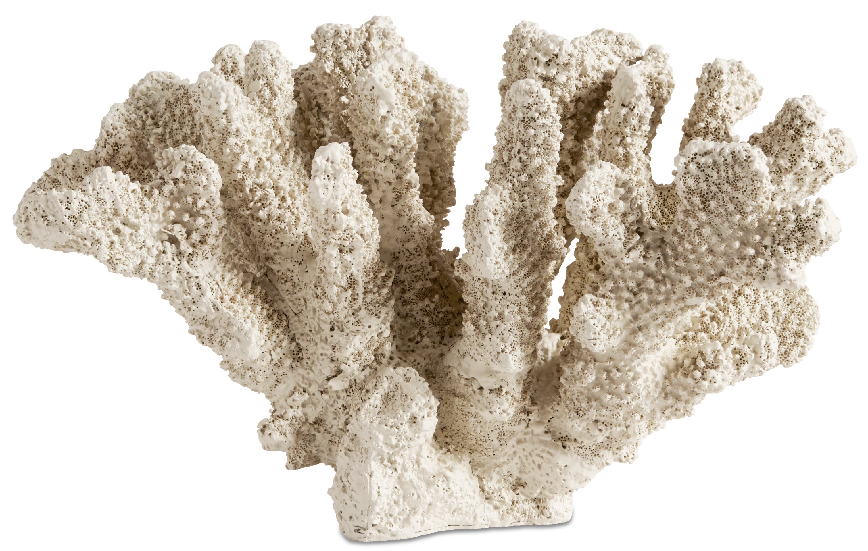 [Belize] Escultura de coral Belize, tintado natural. A16xL25xF16cm.