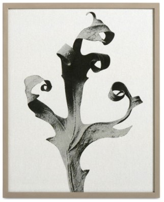 [Delphinium] Delphinium Galería, negro/beige. A42xL52xF