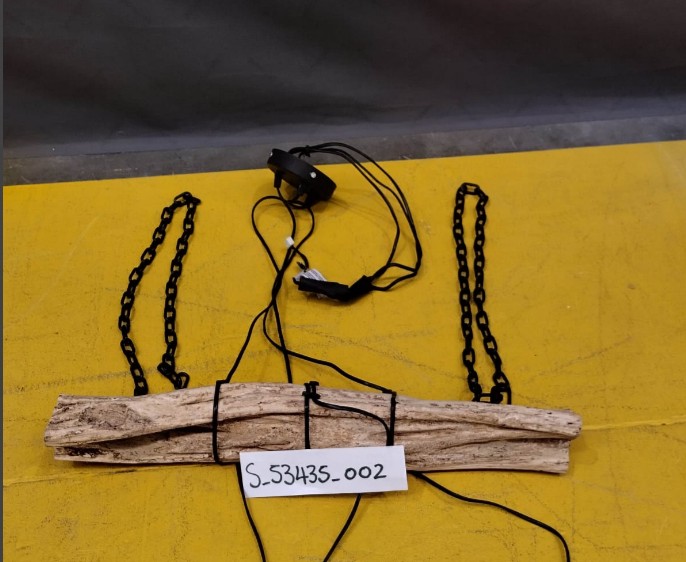 [S_53435_002] Lámpara Branch 80cm