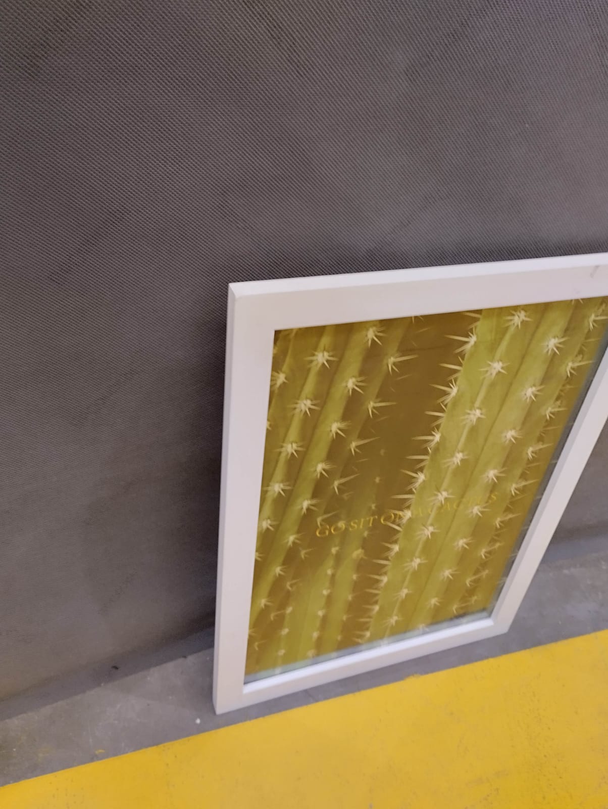 [S_60385_002] Cuadro Kaktus 45x33cm